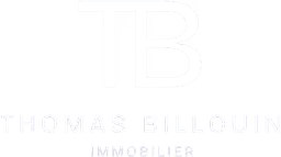 Thomas Billouin Immobilier