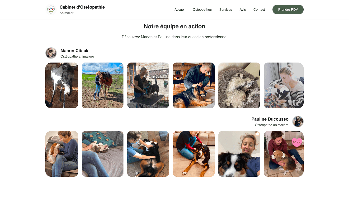 CABINET D'OSTÉOPATHIE ANIMALIÈRE — écran 2